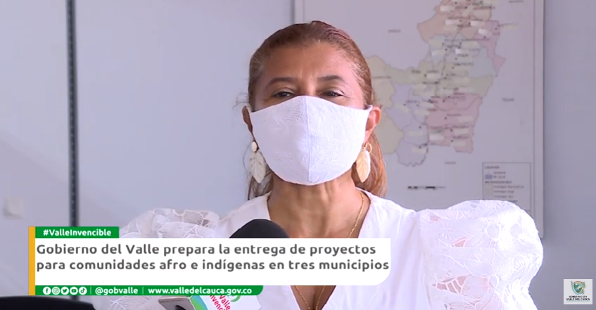 3495-comunidad afro e indigena.png